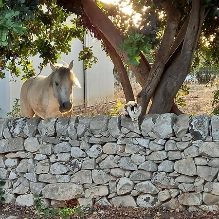 Scicli Citta Felice Villa Dış mekan fotoğraf