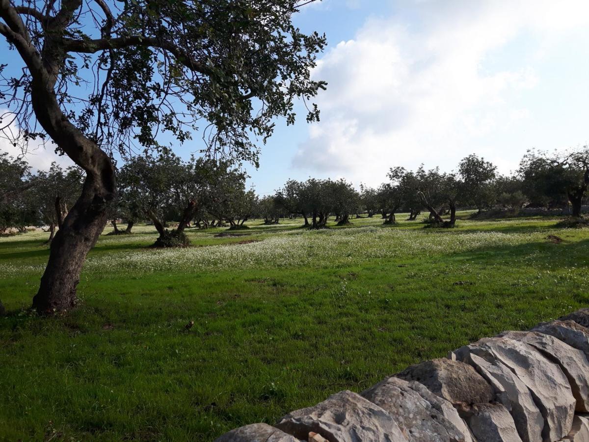 Scicli Citta Felice Villa Dış mekan fotoğraf