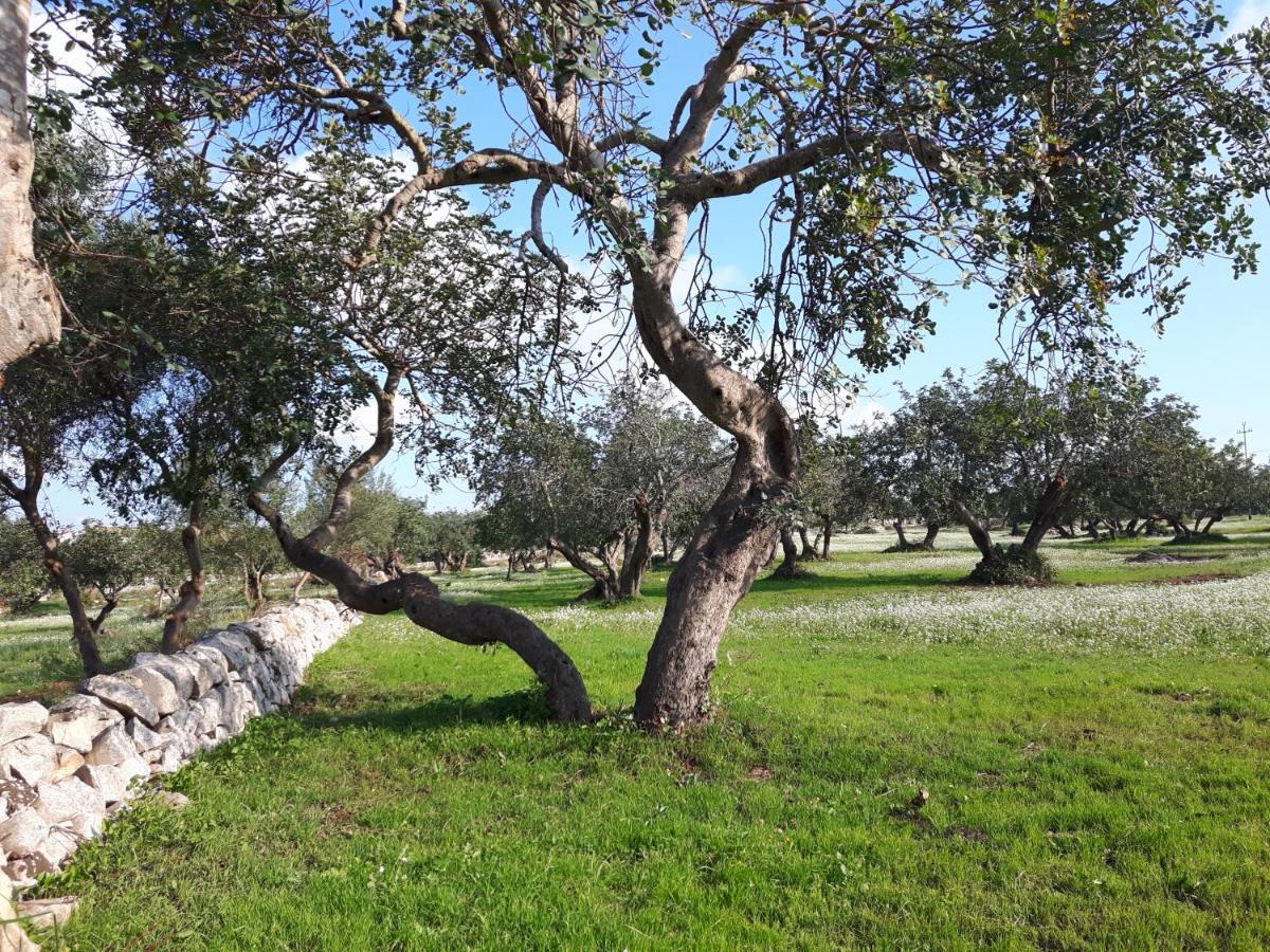 Scicli Citta Felice Villa Dış mekan fotoğraf