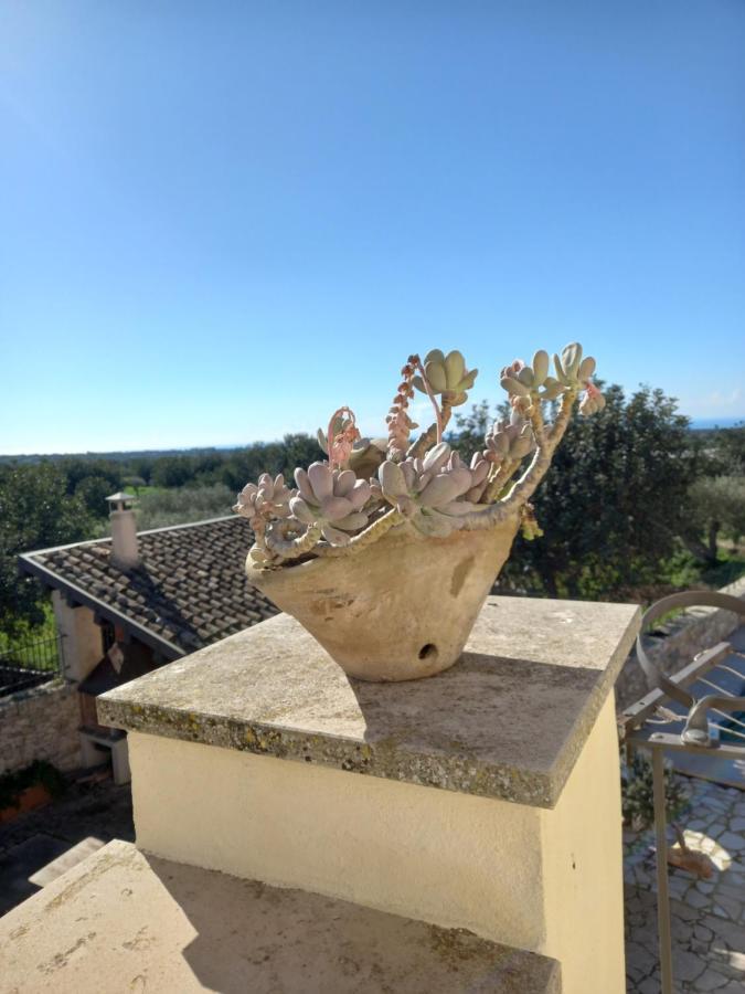 Scicli Citta Felice Villa Dış mekan fotoğraf